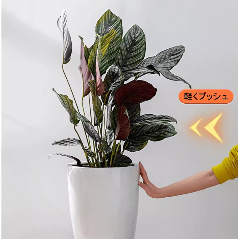 植木鉢 トレー キャスター付き 35cm 受け皿 台車 耐荷重75KG プレート