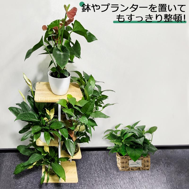 フラワースタンド 5段 プランタースタンド 植木鉢 アイアン フラワースタンド 5段 プランタースタンド 植木鉢 アイアン