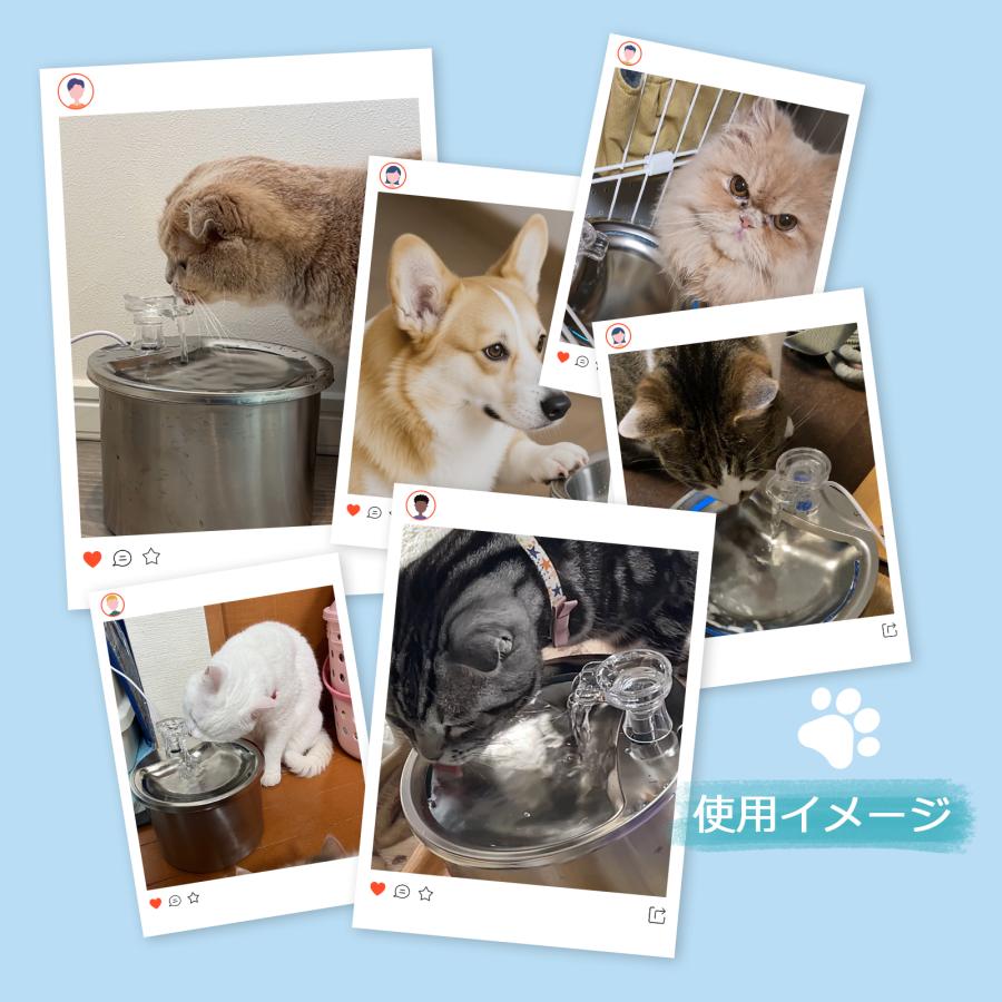 特典あり】自動給水器 ペット給水器 猫 犬 ステンレス製 2L大容量 多頭