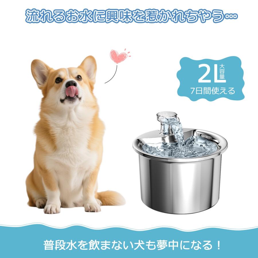 特典あり】自動給水器 ペット給水器 猫 犬 ステンレス製 2L大容量 多頭
