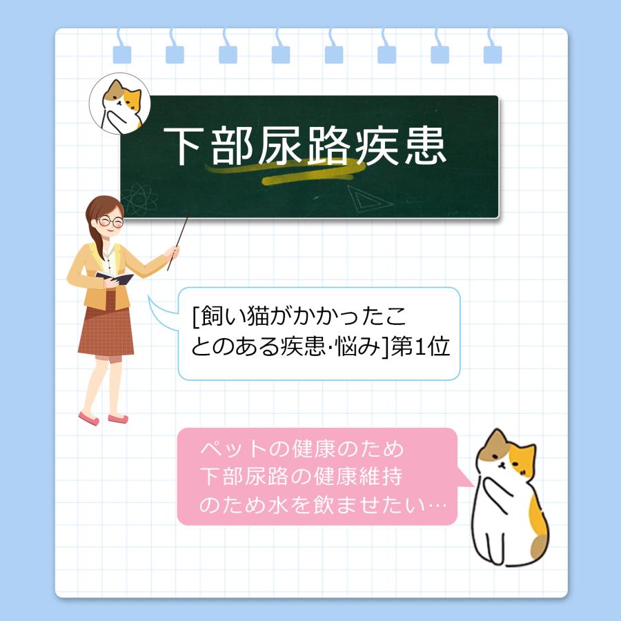 自動給水器 猫 犬 コードレス センサー付き ペット用給水器 2.5L 