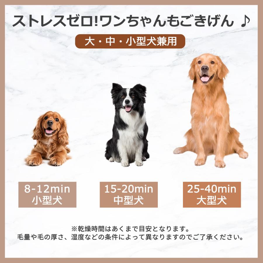 ペットドライヤー 犬 プロ 犬用ドライヤー 業務用 猫 トリミング 大