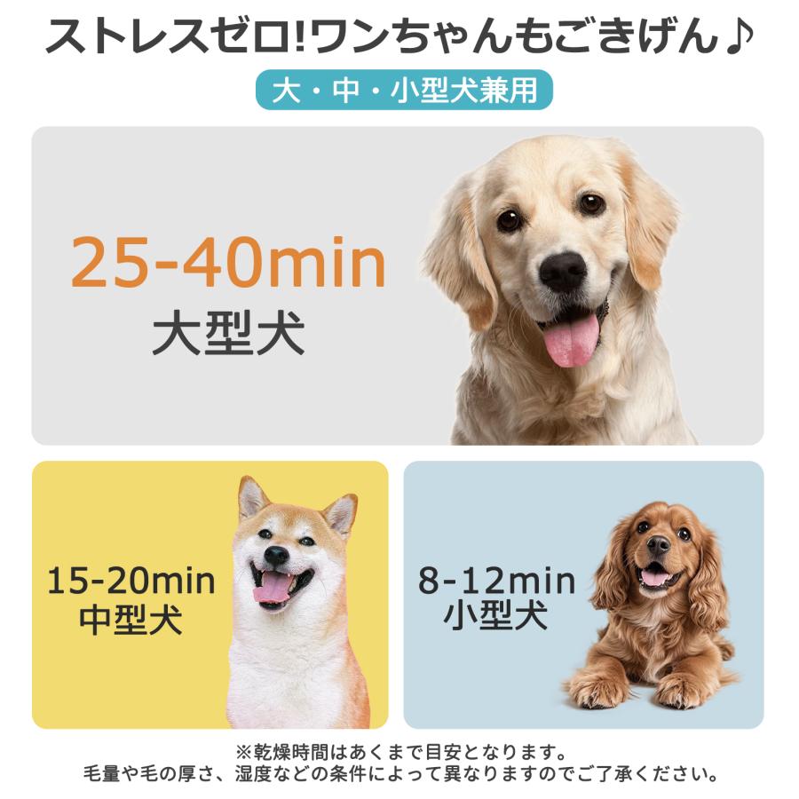 パワー乾燥】ペットドライヤー 犬 大風量 プロ 犬用ドライヤー 業務用
