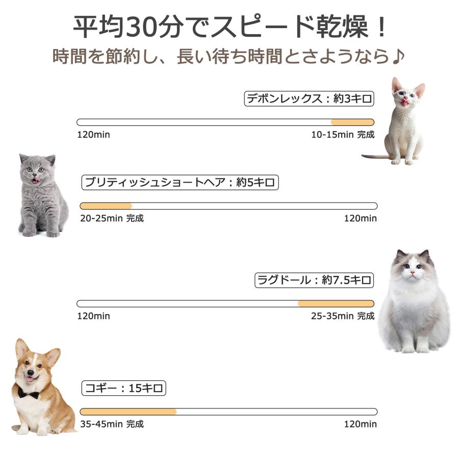 ペットドライヤー ペット乾燥機 ドライヤー ボックス 62L ハウス 自動