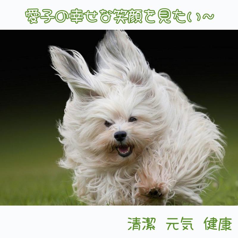 【クーポンあり】バリカン ペット 犬 猫 ペット爪研ぎ 犬猫兼用 残電表示 お手入れ コードレス 電動 軽量 静音 ペットグルーミングキット 爪切り 顔周り 爆買 |  | 04