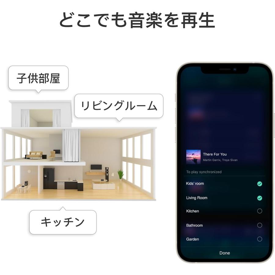 WiiM Pro Plus AirPlay 2 レシーバー Audio WiFi マルチルーム WiiM Pro Plus AirPlay 2 レシーバー Audio WiFi マルチルーム
