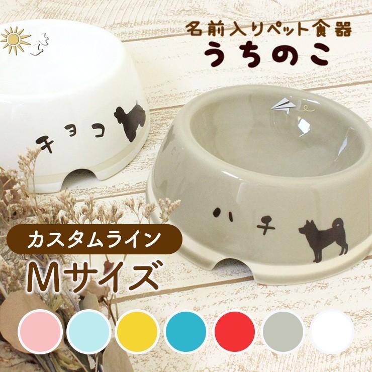 人気満点 お刺身サーモン塩麹漬け1g 6p A Fucoa Cl