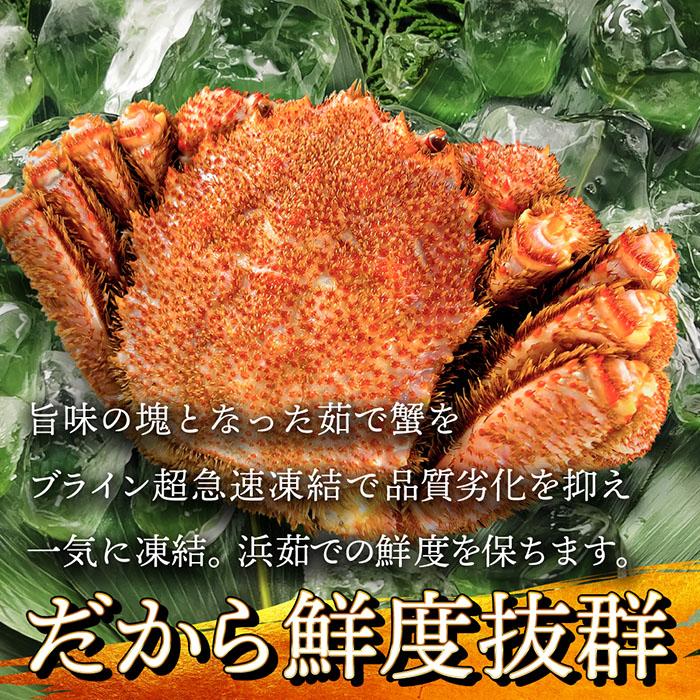 北海道産 ボイル済み浜茹で毛蟹 特大サイズ800g×1尾【本州・四国エリア送料無料】毛ガニお取り寄せギフトにオススメ｜chikumaru｜05