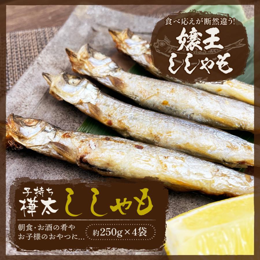 嬢王 ししゃも 特大5lサイズ厳選 250g 4 計1kg シシャモ 卵ぎっしり B016 01 海マルシェちくまる 通販 Yahoo ショッピング