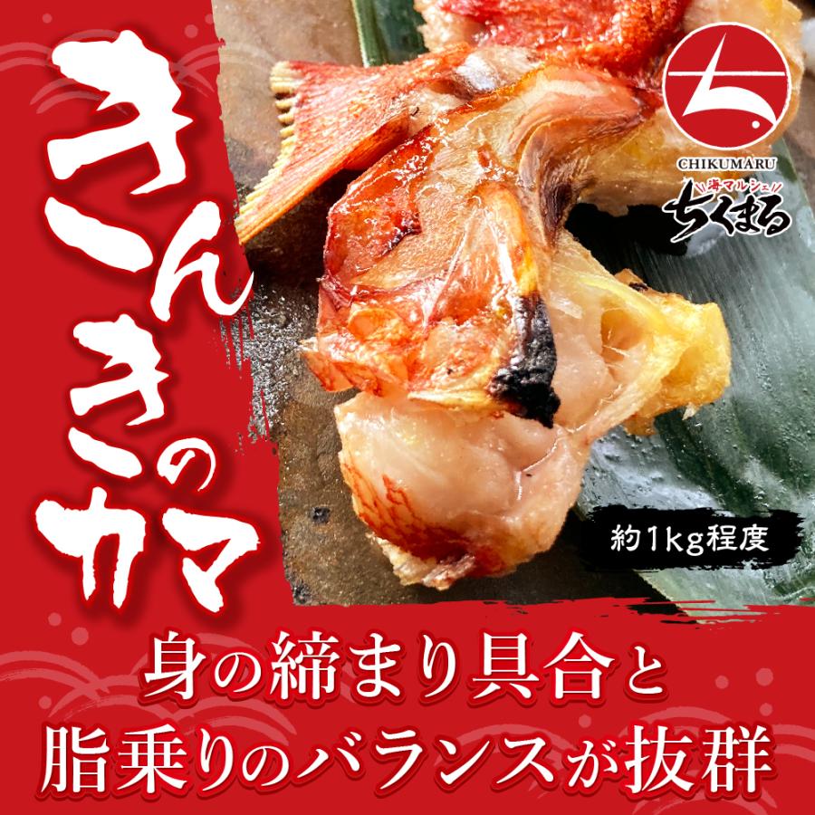 キンキ カマ 約1kg程度 送料無料 贈り物 贈答用 プレゼント ギフト グルメ お買得 まとめ買い きんき K005 01 海マルシェちくまる 通販 Yahoo ショッピング