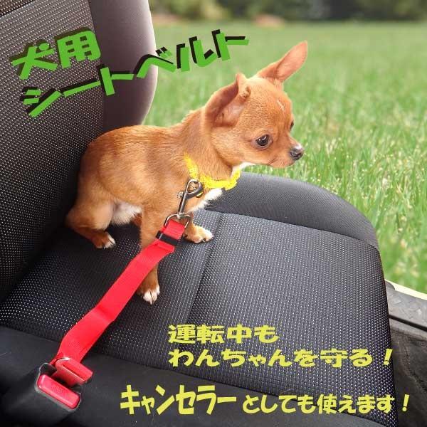 福袋 在庫処分大特価 犬 安全 犬のシートベルト 留守 迷彩 カモフラージュ おしゃれ 室内犬 いたずら 防止 便利 車 運転 Discoversvg Com