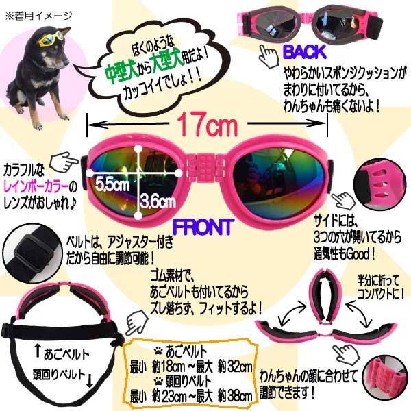 愛犬はボクちゃん 南知多ビーチランド 犬カフェ | TikTok