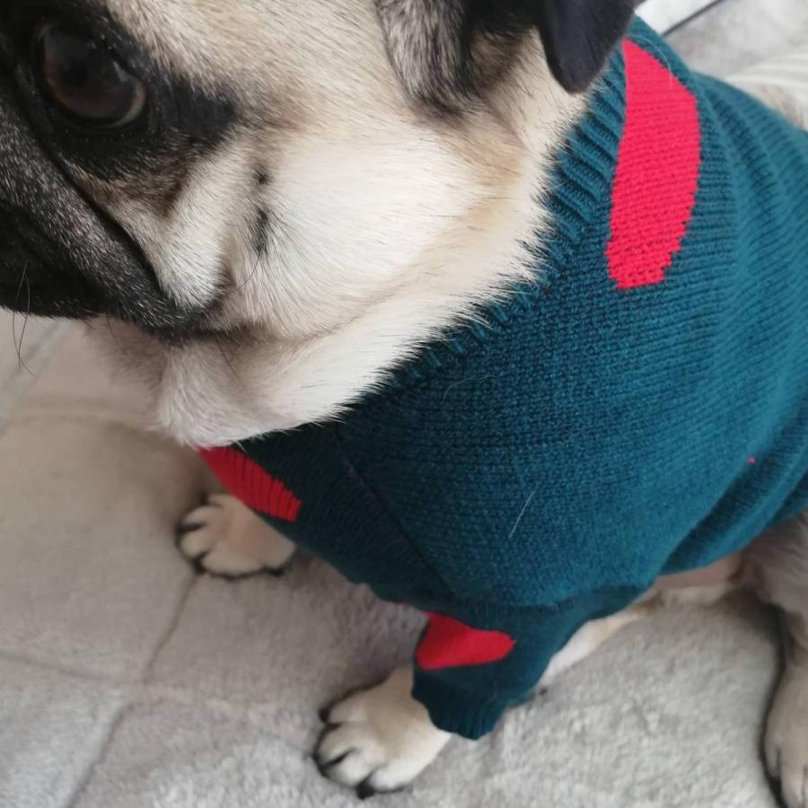 ちくわちゃん あったかハート柄セーター 柔らか素材できせやすい Chikuwa Heartseter パグちゃん専門店 ちくわちゃん家 通販 Yahoo ショッピング