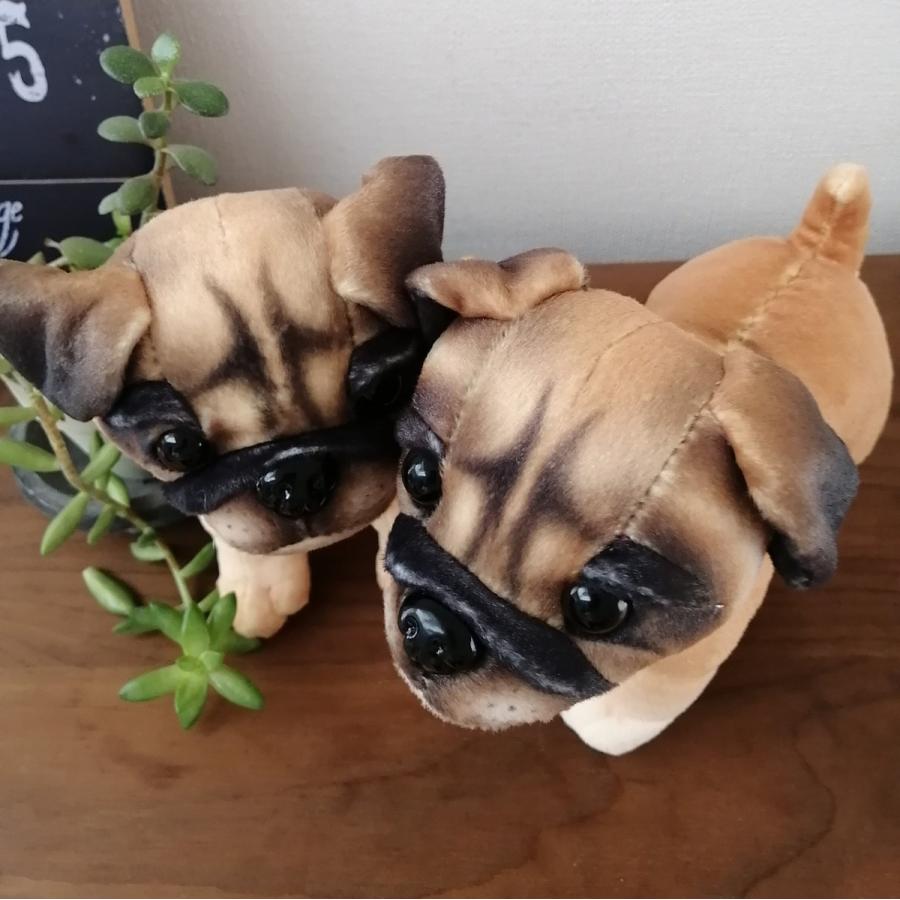 パグちゃんぬいぐるみ 立ちパグ すわりパグ 高さ約18.0cm : パグ