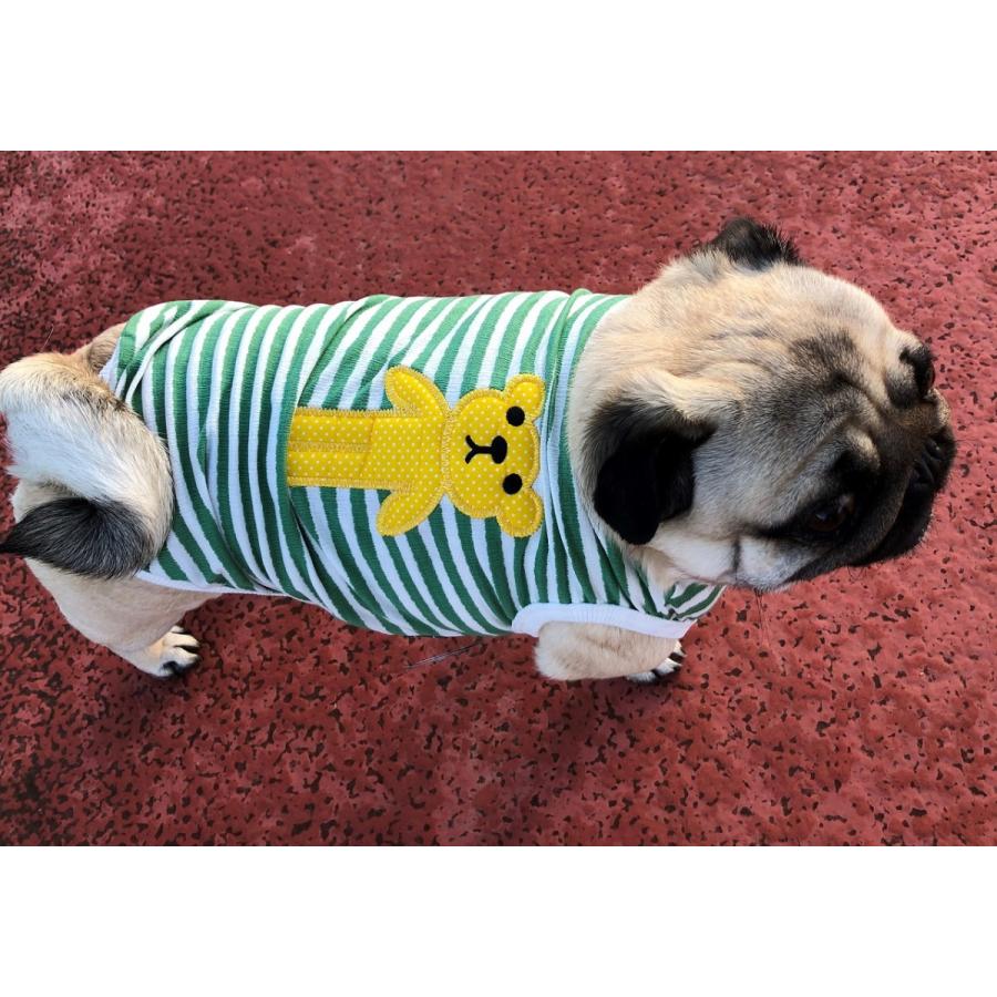 ちくわちゃん くまボーダー柄 選べる2色 グリーン イエロー パグ服 犬