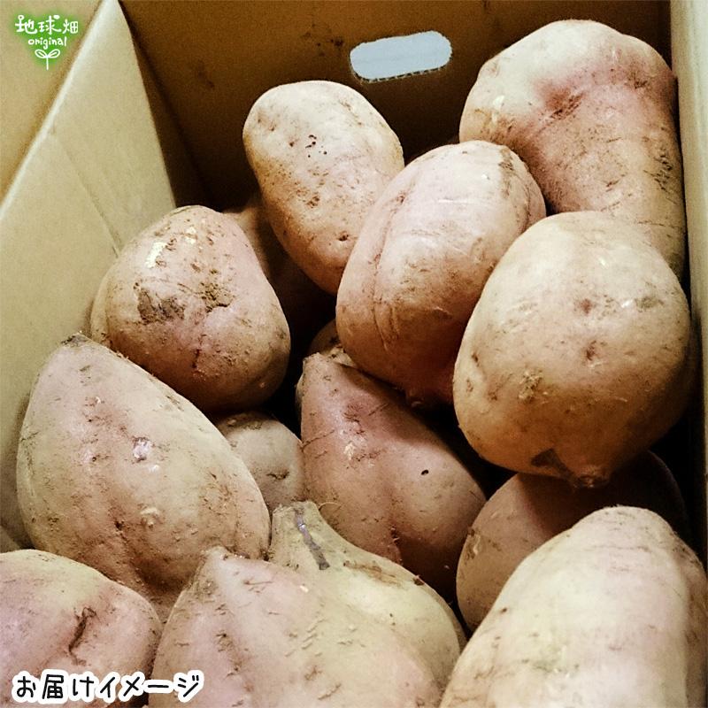 オーガニック 安納芋 2kg 有機栽培 鹿児島県産 1本100〜500g 土付き 生