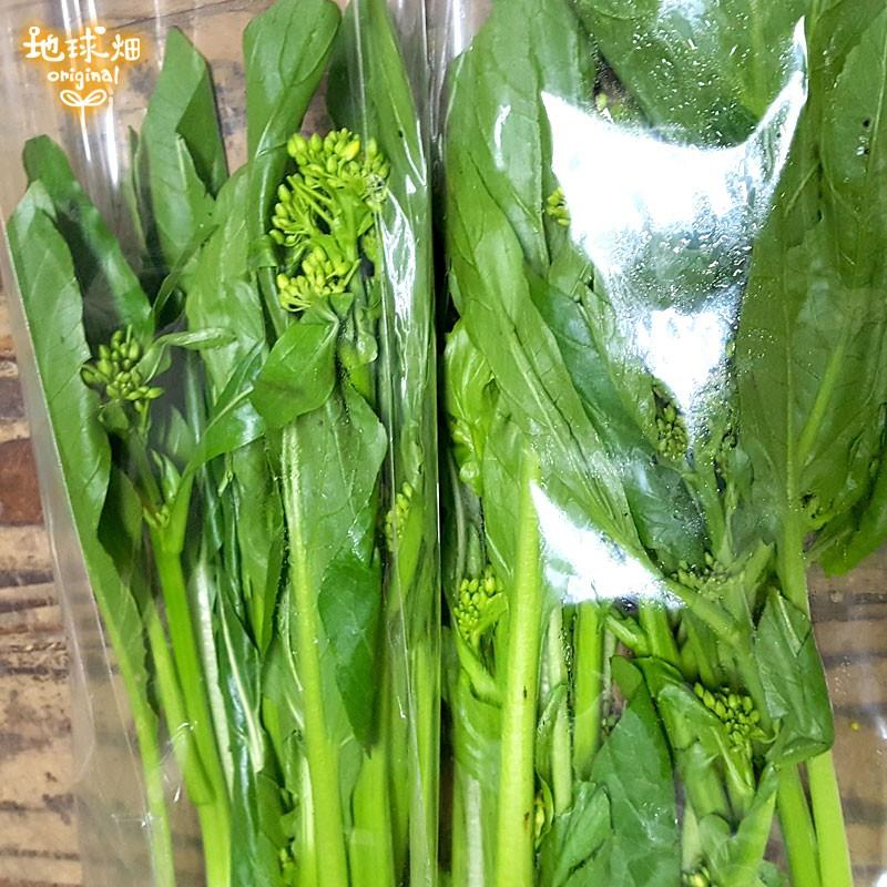 アスパラ菜 150g 10p 有機栽培 鹿児島県産 オータムポエム 菜心 愛味菜 チョイサム さいしん 冷蔵便 送料無料 オーガニック Organic アジア野菜 Autumnpoem 地球畑 通販 Yahoo ショッピング