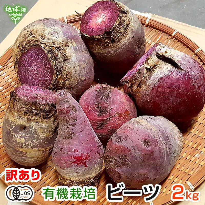 訳あり ビーツ 有機栽培 2kg 鹿児島県産 宮崎県産 テーブルビート ビートルート レッドビート 火焔菜 サトウダイコン オーガニック ベタシアニン 常温 洗い eets 2kg 地球畑 通販 Yahoo ショッピング