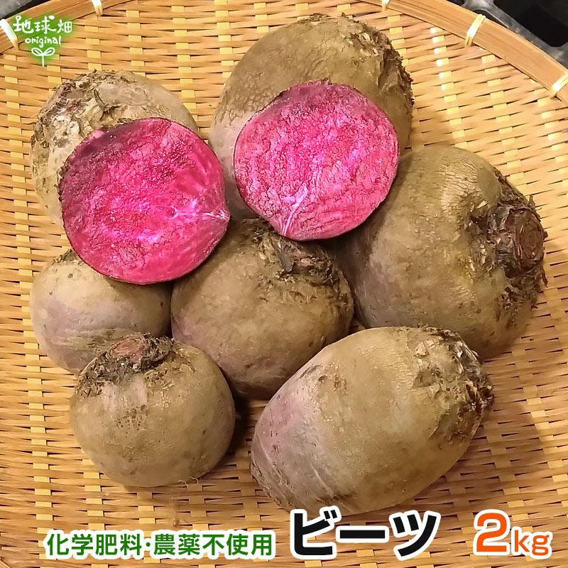ビーツ 2kg 化学肥料・農薬不使用 冷蔵便 鹿児島県産 宮崎県産