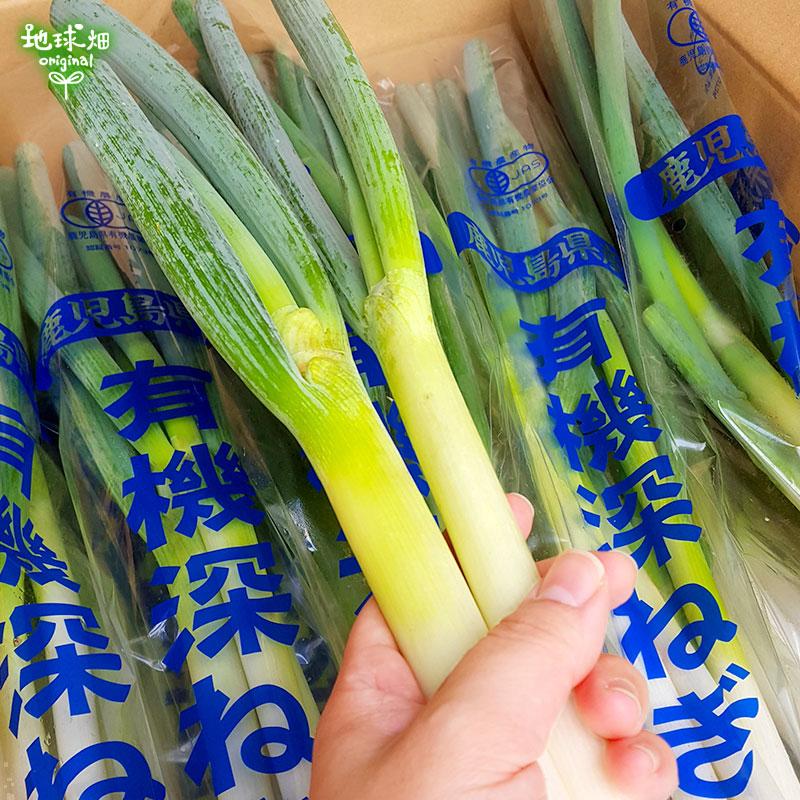 オーガニック 深ねぎ 300g×25P 有機栽培 常温便 有機JAS 鹿児島県産 長