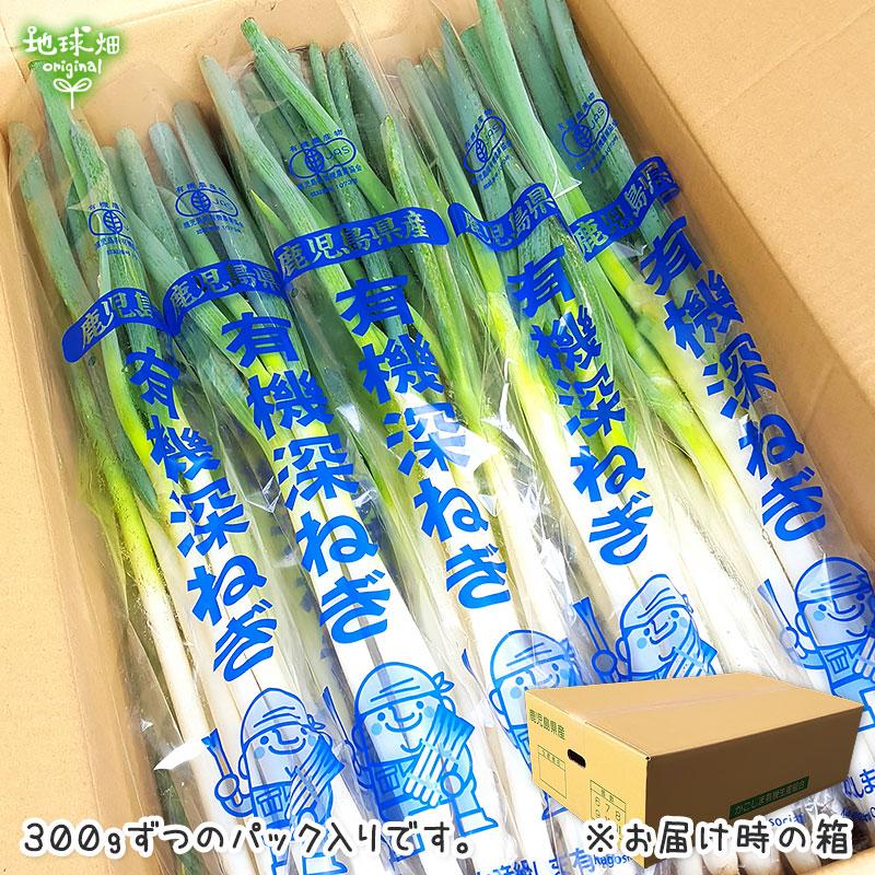 オーガニック 深ねぎ 300g×25P 有機栽培 冷蔵便 有機JAS 鹿児島県産 長