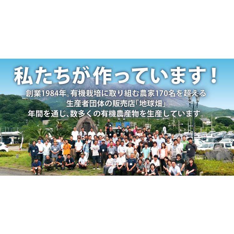 好評 にんじんジュース 1000ml 6本 有機栽培 鹿児島県産 宮崎県産 有機人参 人参ジュース 無農薬 無添加 野菜ジュースニンジン 在庫あり 即納 Studiostodulky Cz