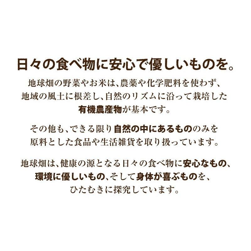 好評 にんじんジュース 1000ml 6本 有機栽培 鹿児島県産 宮崎県産 有機人参 人参ジュース 無農薬 無添加 野菜ジュースニンジン 在庫あり 即納 Studiostodulky Cz