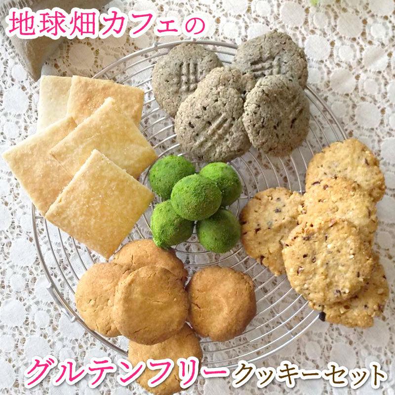 公式サイト 地球畑カフェのグルテンフリークッキーセット 化学調味料 保存料無添加 乳製品 卵 白砂糖 小麦粉不使用 オーガニック マクロビ ヴィーガン 焼き菓子 ギフト Materialworldblog Com