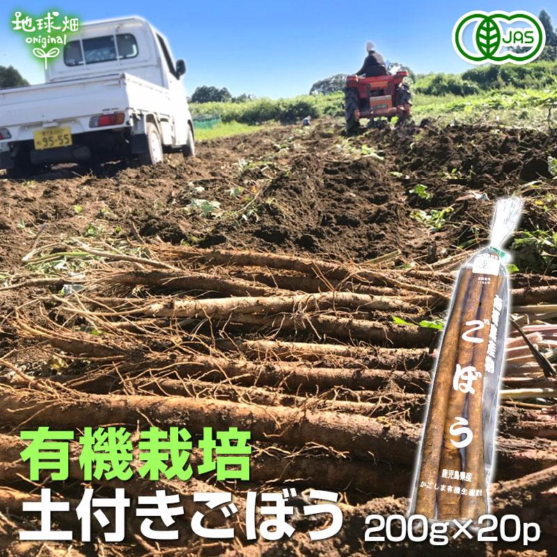 オーガニック ごぼう 200g×20p 有機栽培 鹿児島県産 宮崎県産 ゴボウ