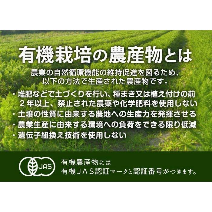 ごぼう 4kg 有機栽培 冷蔵便 鹿児島県産 宮崎県産 ゴボウ 牛蒡 化学肥料・農薬不使用 土付き 国産 オーガニック organic 無農薬｜chikyubatake｜08