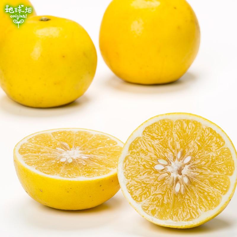 国産グレープフルーツ kg 特別栽培 冷蔵便 熊本県産 鹿児島県産 国産 化学肥料 除草剤 防腐剤不使用 大きさおまかせ 柑橘 酸味が強いダンカン種 Grapefruit kg 地球畑 通販 Yahoo ショッピング