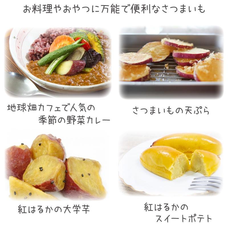 10月以降発送 紅はるか 4kg 有機栽培 鹿児島県産 宮崎県産 土付き さつまいも 本物 からいも べにはるか 令和3年度産 無農薬 薩摩芋 オーガニック 国産 サツマイモ