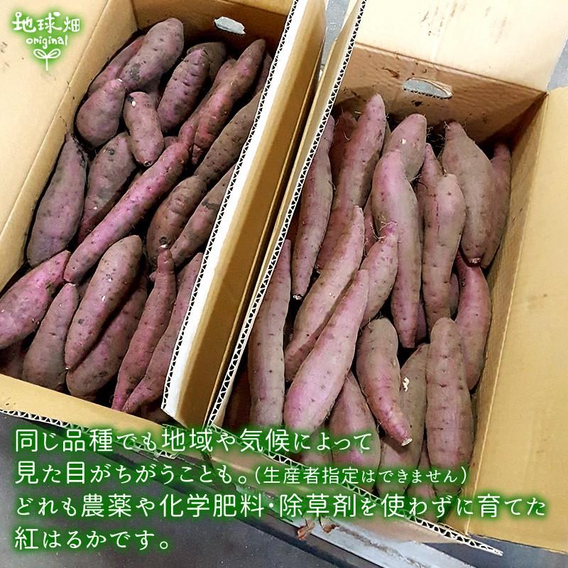 紅はるか 4kg 有機栽培 鹿児島県産 宮崎県産 土付き さつまいも 薩摩芋 サツマイモ からいも べにはるか 国産 無農薬 オーガニック 令和3年度産 Imo Haruka 5 Win 地球畑 通販 Yahoo ショッピング