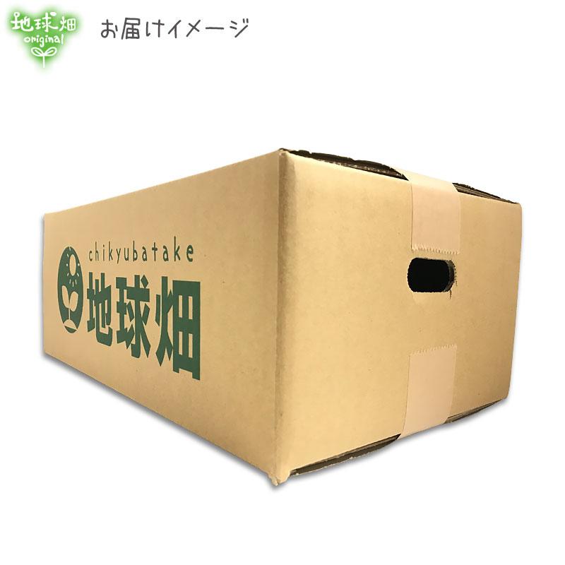 はるか 訳あり 9キロ×2箱 訳あり）紅はるか 9kg 農薬・化学肥料不使用 鹿児島県産 宮崎県産 訳