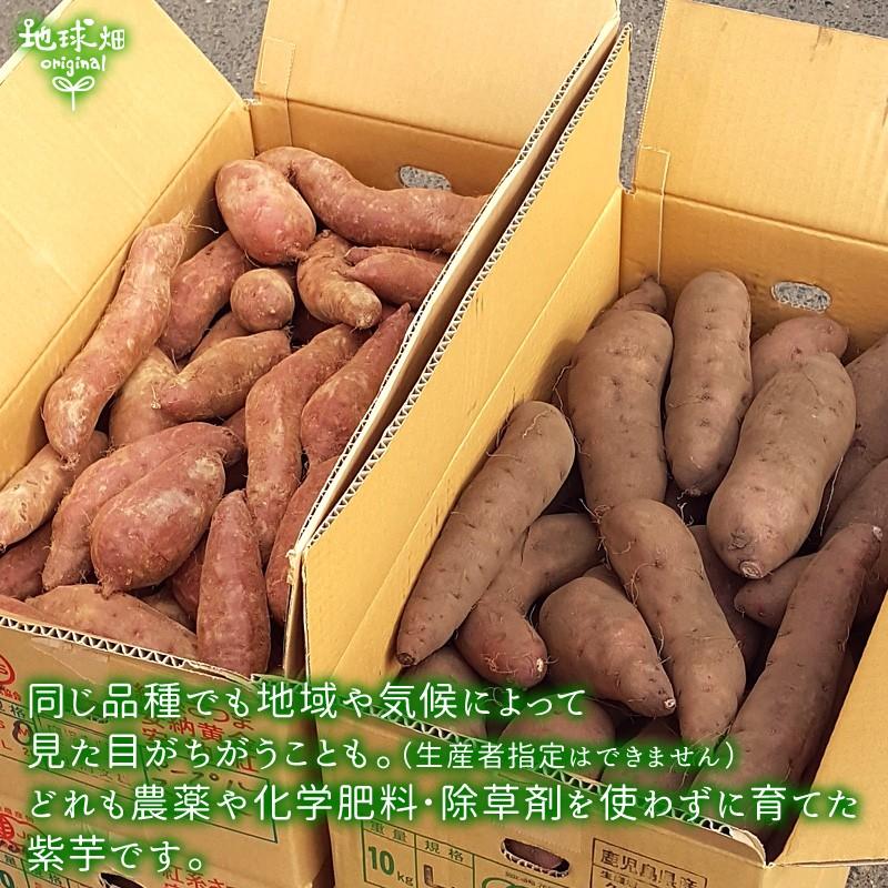 紫芋 2kg 有機栽培 鹿児島県産 宮崎県産 土付き 紫いも パープルスイートロード ナカムラサキ むらさきいも さつまいも 国産 無農薬 :imo- murasaki-2:地球畑 - 通販 - Yahoo!ショッピング 紫芋 2kg 有機栽培 鹿児島県産 宮崎県産 土付き 紫いも パープルスイートロード ナカムラサキ むらさきいも さつまいも 国産 無農薬 :imo- murasaki-2:地球畑 - 通販 - Yahoo!ショッピング