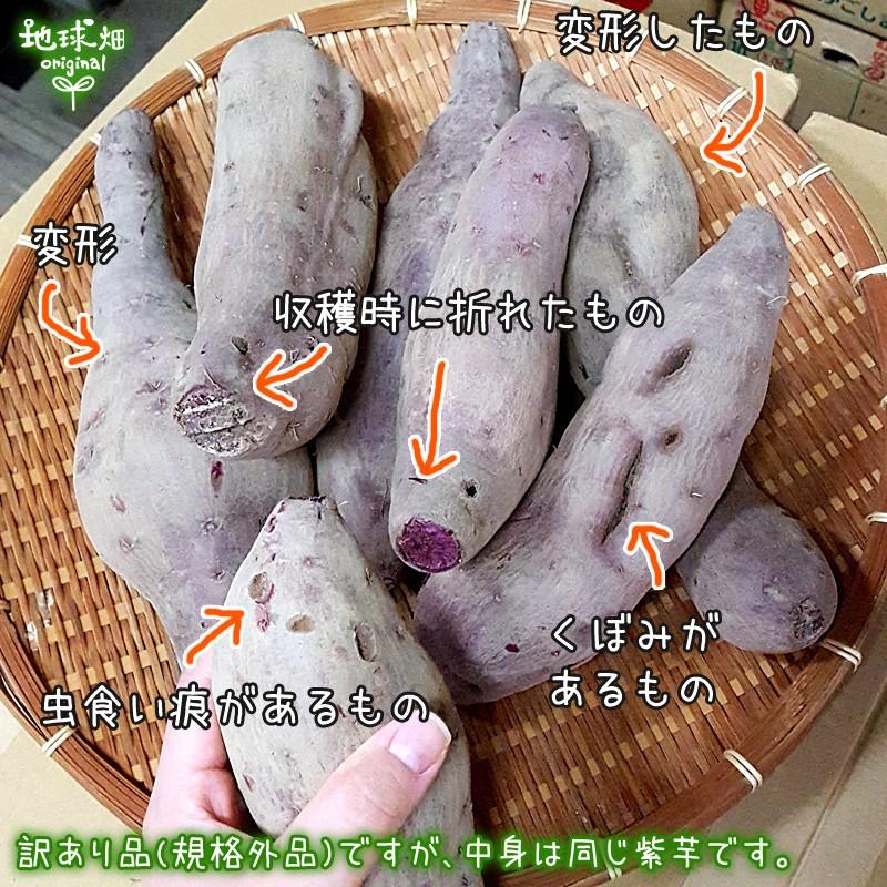 オーガニック 訳あり 紫芋 4kg 有機栽培 鹿児島県産 宮崎県産 訳