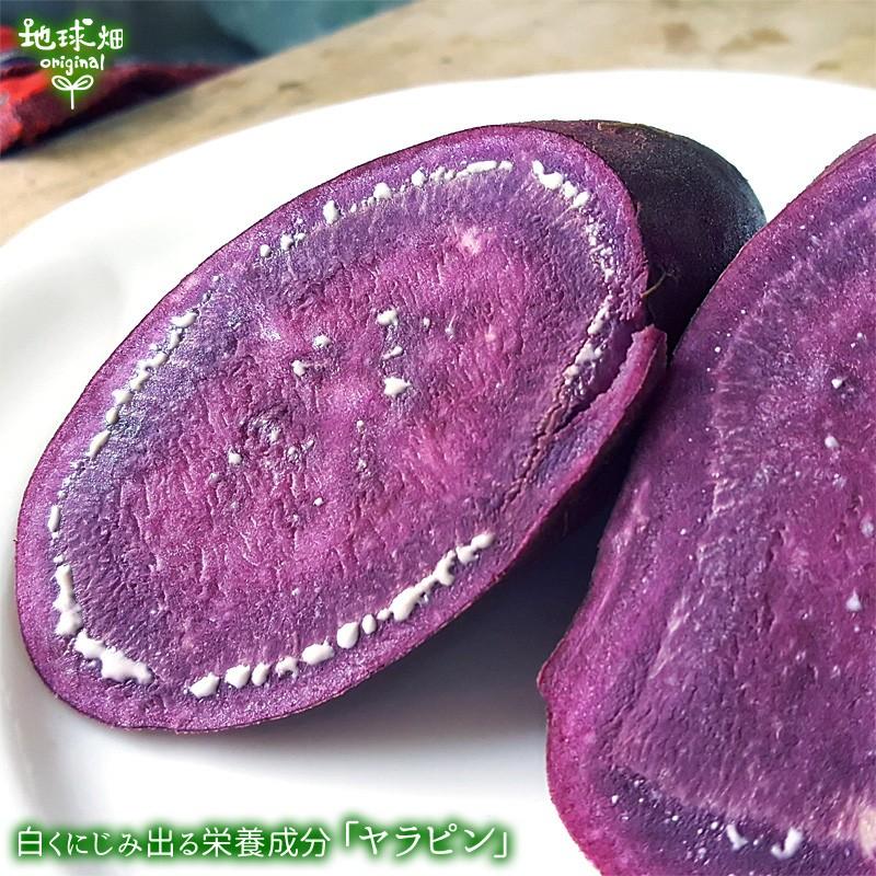 オーガニック 完売 訳あり 紫芋 4kg 有機栽培 鹿児島県産 宮崎県産 訳