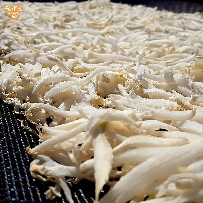 鹿児島県産 そのまま食べられる切干大根 メール便送料無料 50g 5p 計250g 化学肥料 農薬不使用 無農薬 無添加 切り干し大根 干し大根 乾燥 大根 するめやさい Kag Kiriboshi 5p 地球畑 通販 Yahoo ショッピング