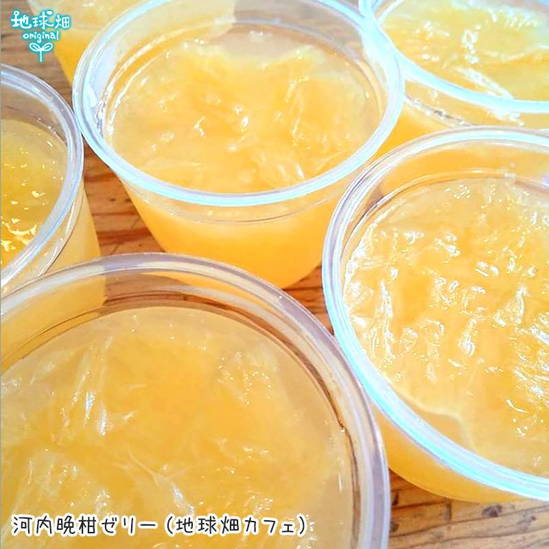 河内晩柑 7kg 特別栽培 化学肥料・除草剤不使用 熊本県産 鹿児島 河内晩柑 7kg 特別栽培 化学肥料・除草剤不使用 熊本県産 鹿児島