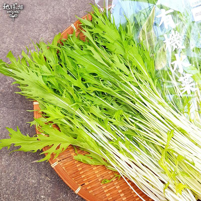 水菜商品 619YFhibadL._AC_SY200_QL15_.jpg