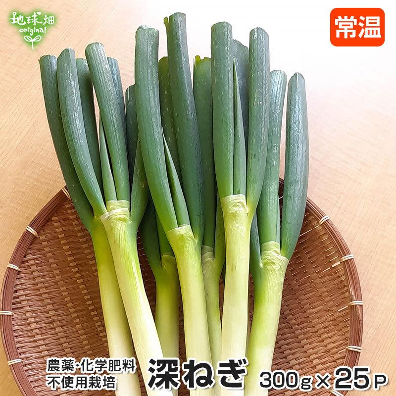 深ねぎ 300g 25p 農薬 化学肥料不使用 常温便 鹿児島県産 長ねぎ 長ネギ 白ねぎ 白ネギ 白葱 ふかねぎ 深葱 深ネギ 鍋 薬味 まとめ買い 業務用 Mu Fukanegi25 J 地球畑 通販 Yahoo ショッピング