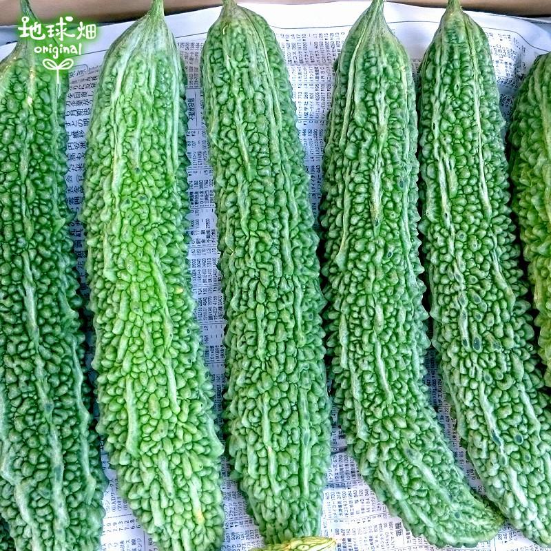 にがうり 有機栽培 2kg 鹿児島県 ゴーヤー 有機jas 農薬 化学肥料不使用 苦瓜 ニガウリ レイシ にがごり チャンプルー 無農薬 冷蔵便 Nigauri 2kg 地球畑 通販 Yahoo ショッピング