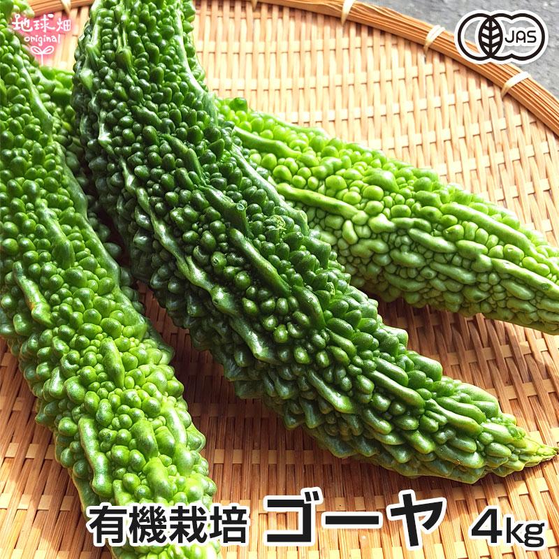 オーガニック ゴーヤ 有機栽培 4kg(約15〜16本) 鹿児島県 にがうり 有機JAS 農薬・化学肥料不使用 苦瓜 ニガウリ レイシ にが ...
