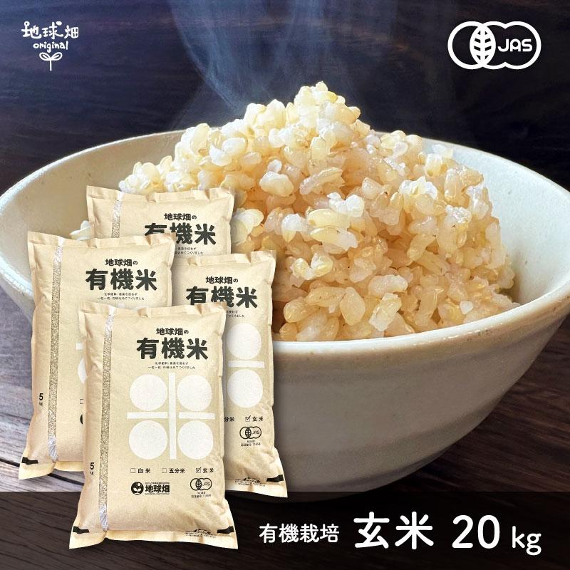 令和5年度産 新米コシヒカリ 農薬未使用玄米20kg - 米