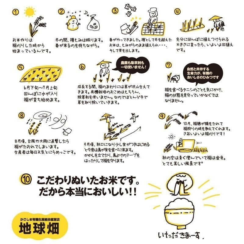 絶対一番安い 有機五分米 10kg 令和2年産 年産 鹿児島県 有機栽培 有機jas認証 化学肥料 農薬 除草剤不使用 5分付き 五分精米 5分米 5分搗き 10キロ Okome Gobumai 10kg 地球畑 通販 Yahoo ショッピング 送料無料 Mediquicklab Com
