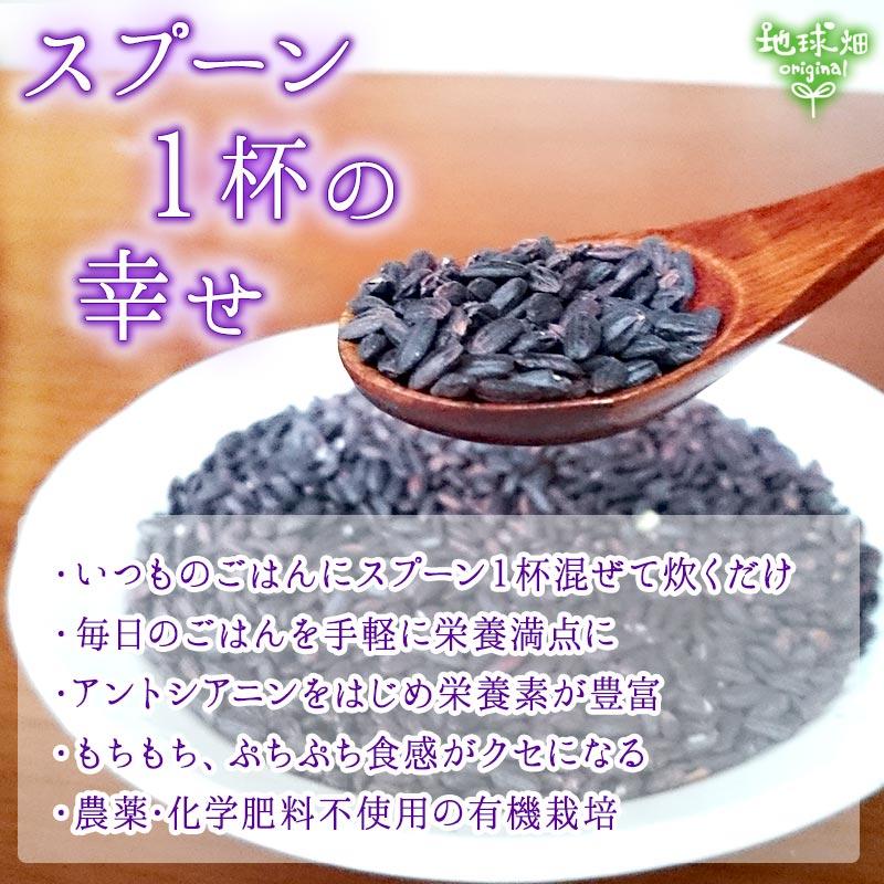 オーガニック 国産 有機 黒米 300g 雑穀 JAS 有機米 鹿児島県産 オーガニック 国産 有機 黒米 300g 雑穀 JAS 有機米 鹿児島県産