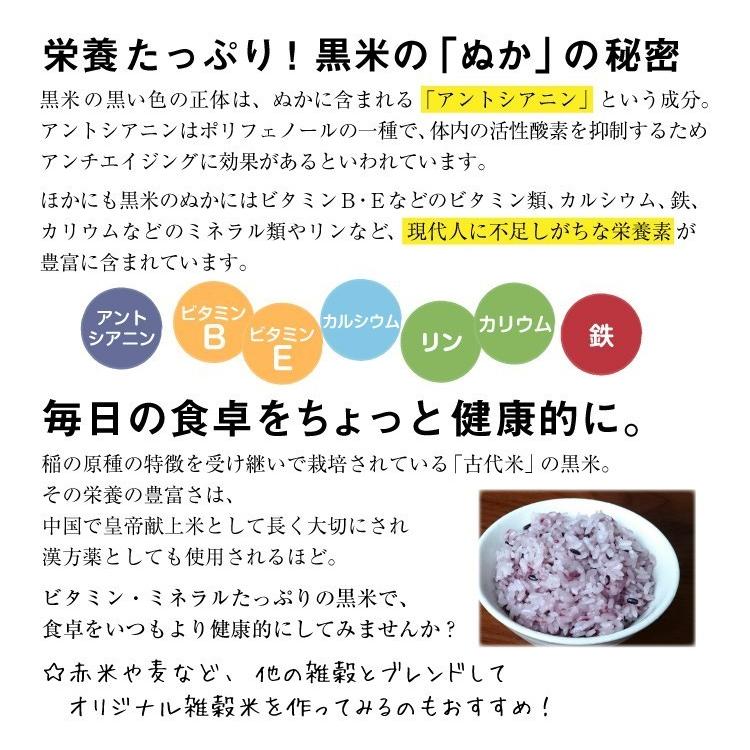 黒米 赤米 選べる有機米２袋セット (メール便送料無料) 300g×2袋 合計600g 古代米 有機栽培 有機JAS 雑穀米 国産 無添加 無着色 紫米｜chikyubatake｜03