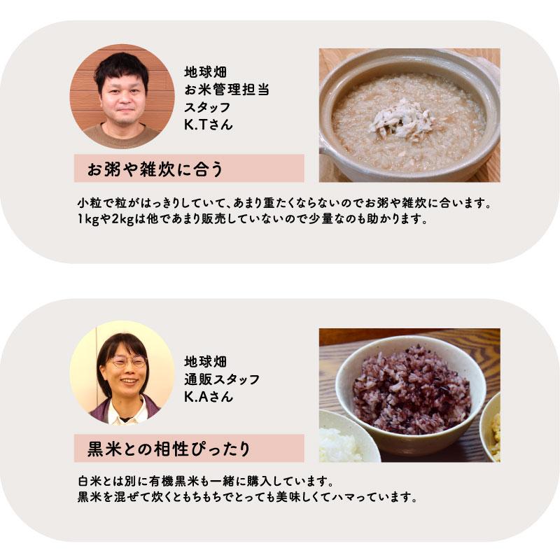 お粥や雑炊に】農薬不使用 無化学肥料 無除草剤 陥 ヒノヒカリ お粥や雑炊に】農薬不使用 無化学肥料 無除草剤 陥 ヒノヒカリ