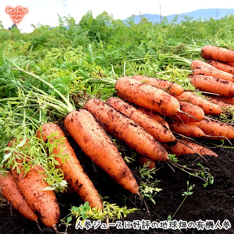 にんじんペースト 4kg 有機人参ペースト 有機jas 鹿児島県産 有機栽培 人参 業務用 離乳食 オーガニック 国産 無農薬 防災 非常食 保育園 託児所 介護食 冷凍 Paste Ninnjinn4kg 地球畑 通販 Yahoo ショッピング