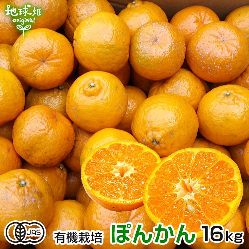 ポンカン 有機栽培 18kg 鹿児島県産 有機jas ぽんかん 柑橘 みかん オレンジ くだもの サイズ混合 業務用 まとめ買い オーガニック Ponkan 18kg 地球畑 通販 Yahoo ショッピング